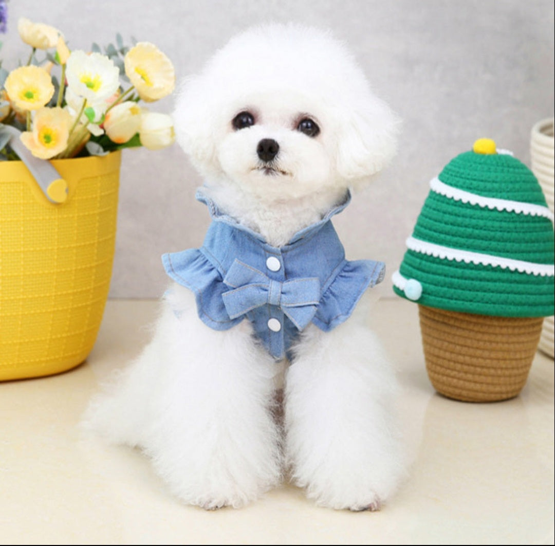 Pet Care (Fur Babies) - Shop NCLC