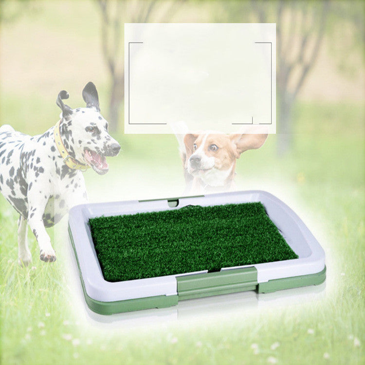 Indoor pet training green - Shop NCLC