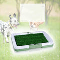 Indoor pet training green - Shop NCLC