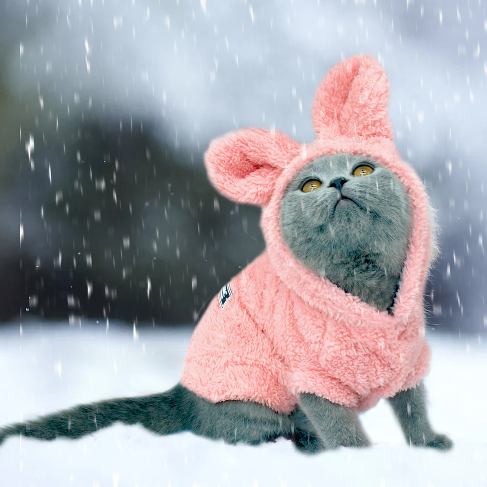 Cat and Dog clothes