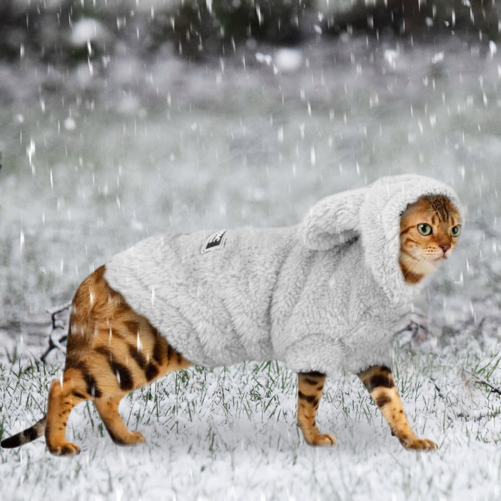 Cat and Dog clothes