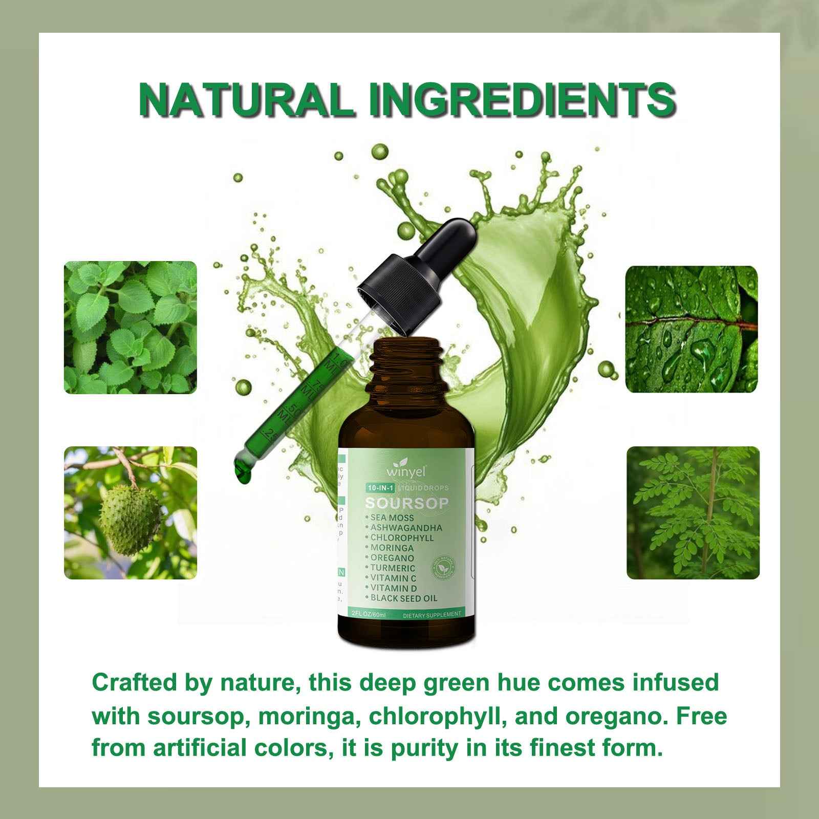Soursop Drops 10-in-1 With Seaweed, Moringa, Black Seed Oil, Oregano, Ashwagandha, Chlorophyll  Herbal Extracts Promote Overall Health  Vegan 2 Fl Oz