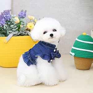 Pets Denim Dress for Dogs and Cats - Stylish Ruffled Vest Harness with Leash Hook in Blue Jeans